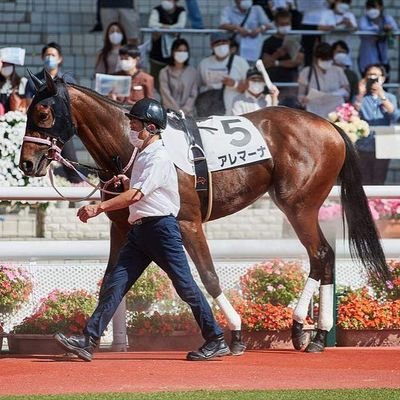 社台サンデー、キャロットクラブにて一口馬主やってます。
馬と時計と車好き。