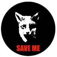 The Save Me Trust (@thesavemetrust) 's Twitter Profile