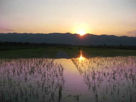 deirdreRM's profile picture. Communications Manager for @msf_ireland, tweets are my own