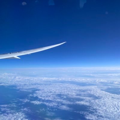 M55253403Me's profile picture. KAZE氏中心🐘無言フォロー、失礼がありましたら、お許しください。雑多な呟きも✨気軽に宜しくお願いします✨