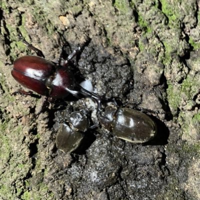 taggun555's profile picture. 