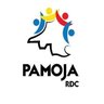 PamojaRDC1's profile picture. Mouvement des Jeunes Leaders et Cadres du Kivu/ PAMOJA, nous soutenons  notre intégrité territoriale et la promotion de nos valeurs patriotiques.