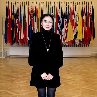 Policy Analyst, Permanent Delegation of Mexico to the OECD