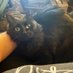 Meowilyn (@shreekinviolet) Twitter profile photo Meowilyn (@shreekinviolet) Twitter profile photo