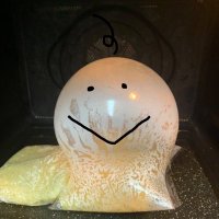 きゃさりん (@hahakyasarin) 's Twitter Profile Photo