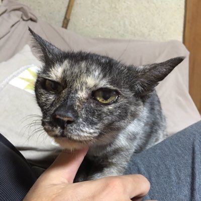 タカさんのプロフィール画像