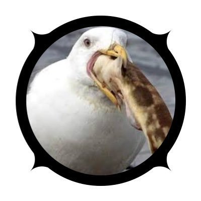 凍てつく泥水さんのプロフィール画像