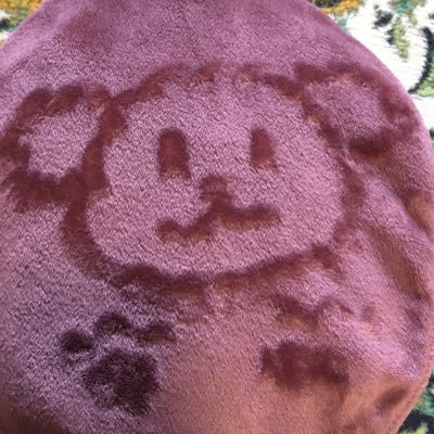 ぱそさんのプロフィール画像