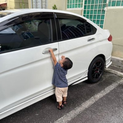 hanansuid's profile picture. soaring tumbling freewheeling