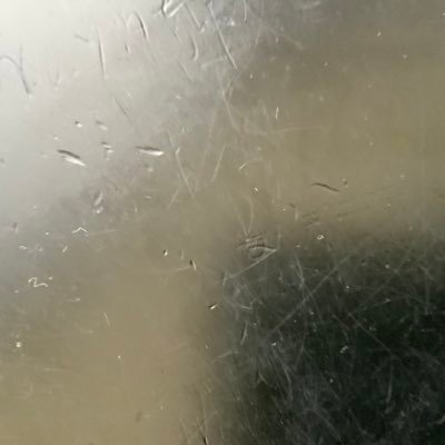 laynemsmith's profile picture. 