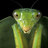 Mantis156's profile image