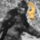 BigfootSlapper(@Bigfoot_Slapper) 's Twitter Profile Photo