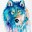 Unknown Person (@unknown62937803) 's Twitter Profile Photo Unknown Person (@unknown62937803) 's Twitter Profile Photo