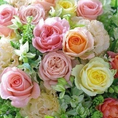 MuFu88883H's profile picture. 