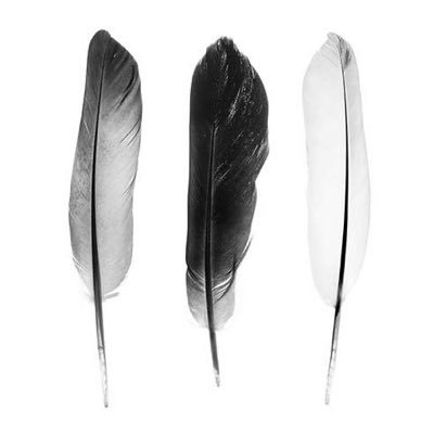 pronouns: beautiful/brilliant/black. Suro Nyame, bata nkwagyeɛ na sua nyansa.