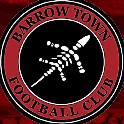 ⚽️ Official account of Barrow Town FC 🏆 members of the Everards Brewery Premier Division  📸 Instagram: barrowtfc