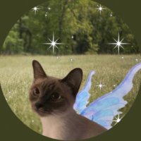 Ramen ✧ (@0xcannabis) 's Twitter Profile Photo Ramen ✧ (@0xcannabis) 's Twitter Profile Photo