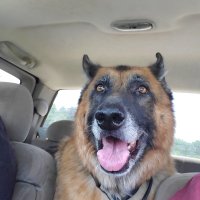 Ralph.F (@ralphflanagan6) 's Twitter Profile