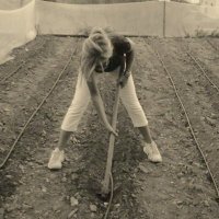Cuchita (@cuchita20692492) 's Twitter Profile