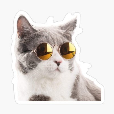 Alfesso1's profile picture. Exploring the universe and love mountain climbing