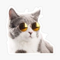 Alfesso ♦️ 🐐 Binance (@alfesso1) 's Twitter Profile