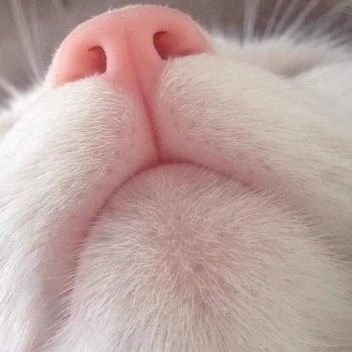 AyobamiOj's profile picture. I am not a tipster, but I know how to pick well analyze option in betting  and also a digital marketer…..🖊️