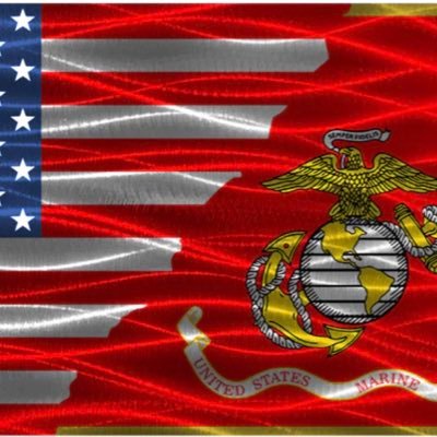 Travelled the world, served, lost, learned, grew, healing. Always Beside Never Above, Semper Fi