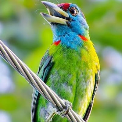 SweetyKamal1's profile picture. 