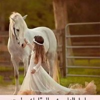 🌘قمر 🌹 (@qmr70503564) 's Twitter Profile