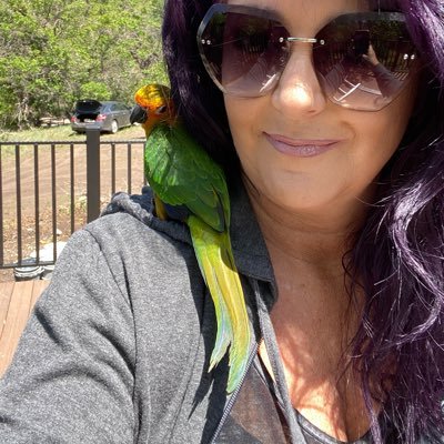 NelsonMitz's profile picture. 