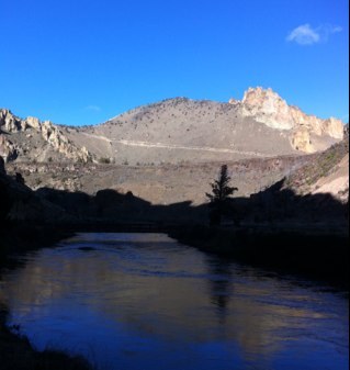 rosylucy01's profile picture. 