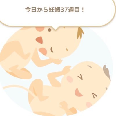 育児と関係ない・鍵垢でよくわからないアカウントの方はご遠慮ください。18'〜不妊治療。タイミング法、人工授精、体外受精。化学流産。22.01エンドメトリオ。22.04凍結胚ラスト2つ移植で双子を妊娠!つわり酷くケトン体3+で3週間入院−10㌔。妊娠中は寝たきり入院の車椅子。初マタmixtwins🎀🦖/関西