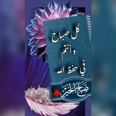 albhar69839563's profile picture. هدوئ البحر