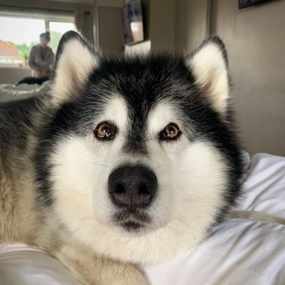 cloudsndirts Profile