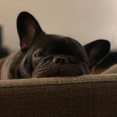 _bleezi's profile picture. 