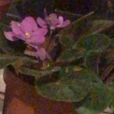 Alyel28101974's profile picture. 