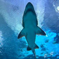 Jason A (@jason071978) 's Twitter Profile