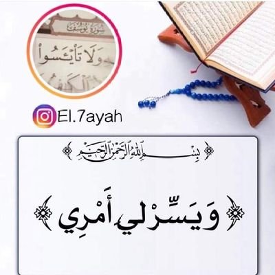 bdalmjy29977869's profile picture. 