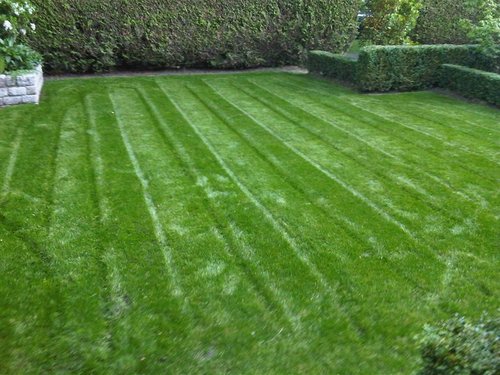 GW Lawncare provides friendly, reliable lawn care and maintenance service to west side Vancouver.