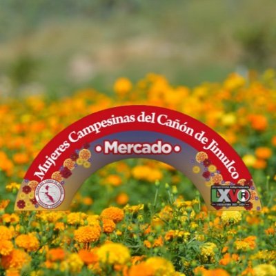 Somos cocineras tradicionales, agricultoras, artistas textiles, recolectoras y operadoras turísticas del Cañón de Jimulco. #Torreón