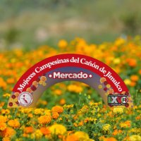 Mujeres Campesinas del Cañón de Jimulco (@mujeresjimulco) 's Twitter Profile