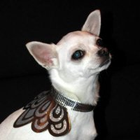 Sara (@sl06162568) 's Twitter Profile Photo