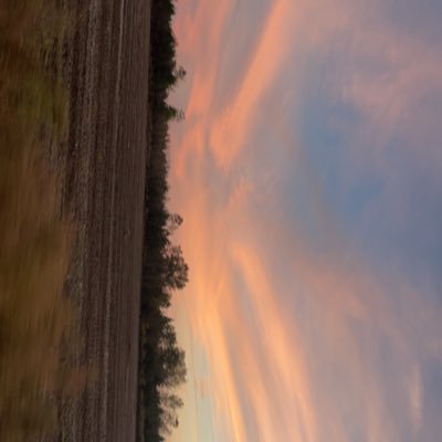 MarshburnNick's profile picture. 