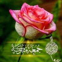 Adam Mahamoud (@adammahamoud6) 's Twitter Profile