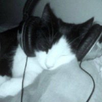 opvik (@opvikc) 's Twitter Profile