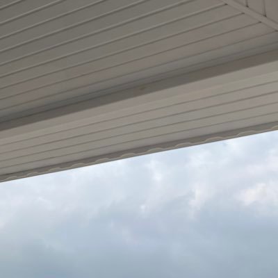 btterh's profile picture. Powerpuff Girls üyesi