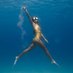 angiefreediver
