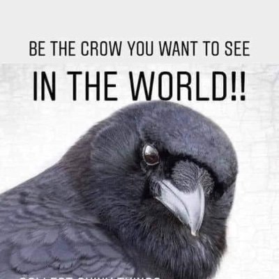 jennystarDublin's profile picture. 