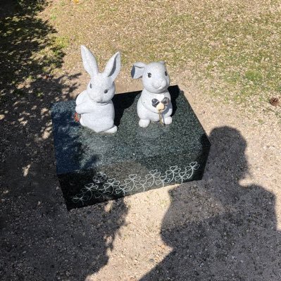 bba_teliyaki's profile picture. 腹八分目、足るを知る