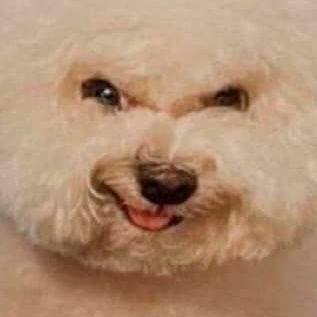 Vanillagori_lla's profile picture. 